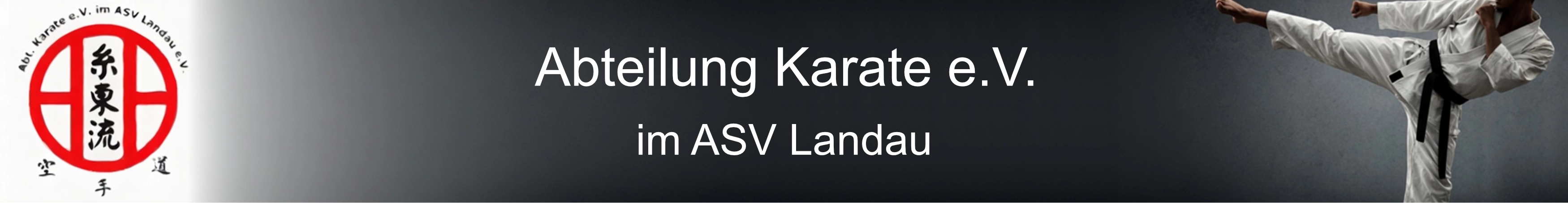 topbanner-asv-karate